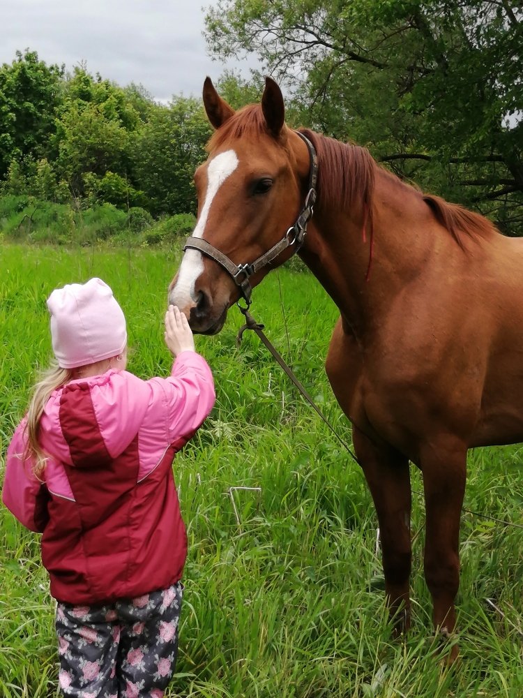 Фотография автора Кравцова Светлана
