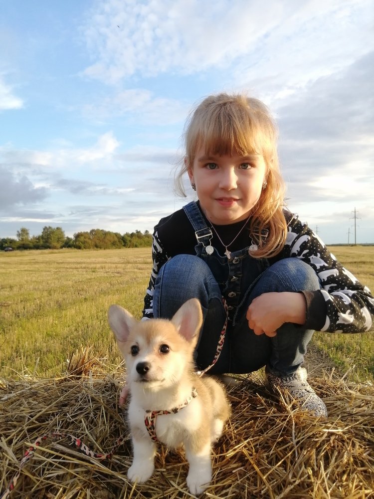 Фотография автора Кравцова Светлана