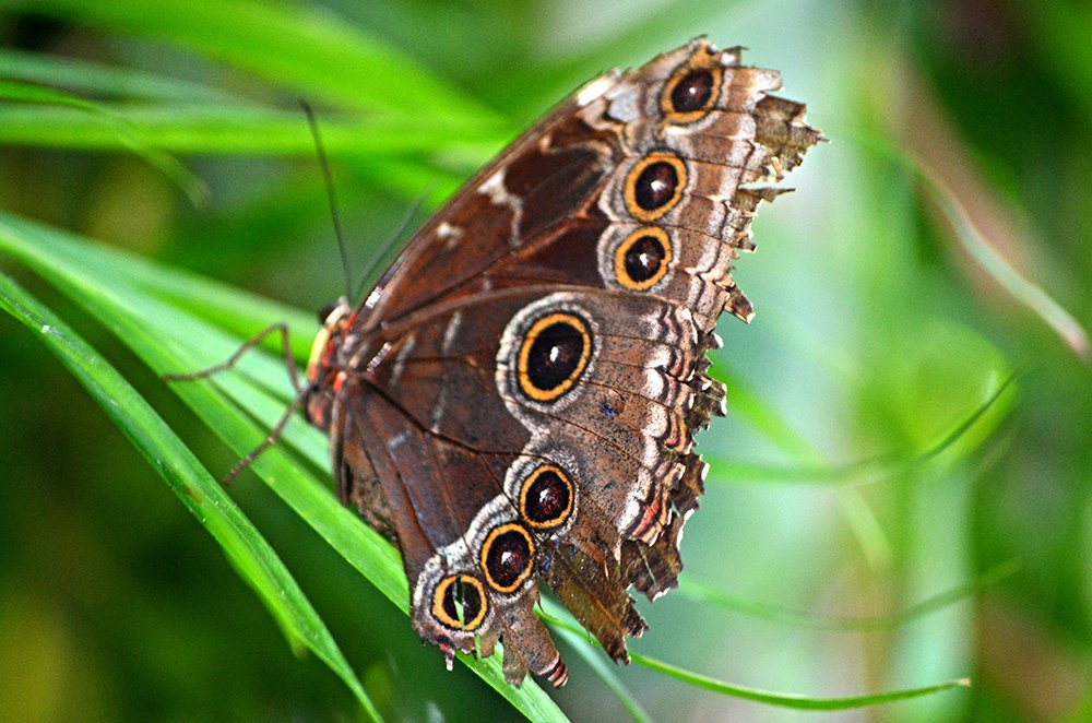 Photograph by Liliana Grup