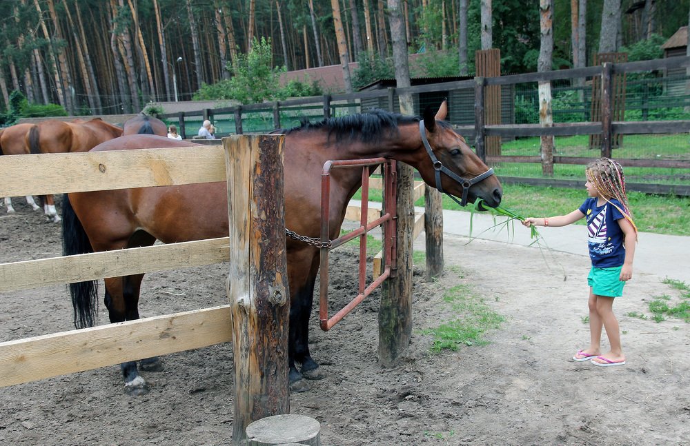 Photograph by Александр Бугаенко