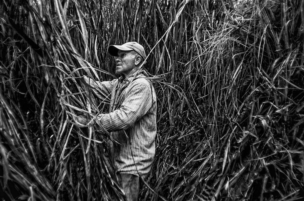 Photograph by Decio de Campos