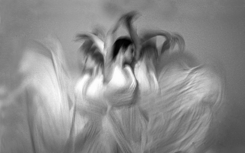 Photograph by Olga Sokolinskaya