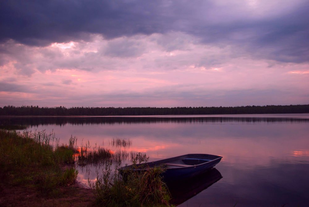 Photograph by Диана Бородзе