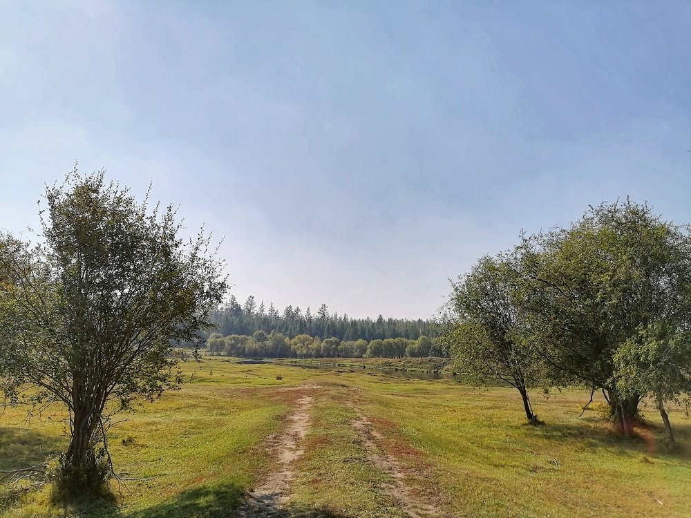 Забытая дорога.