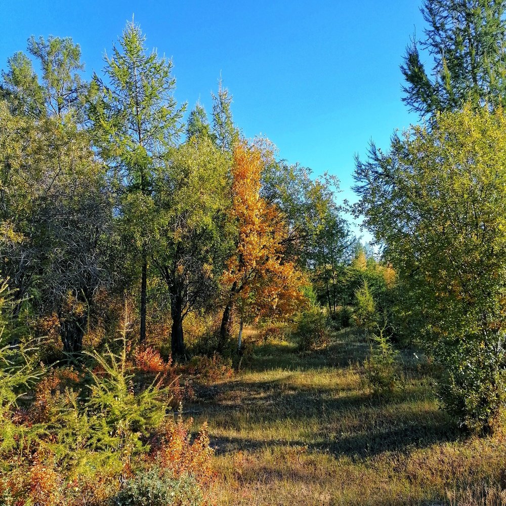 Начало осени.