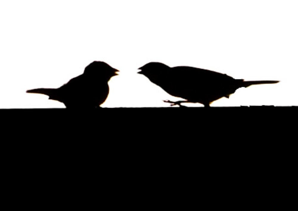 Фотография автора yomn