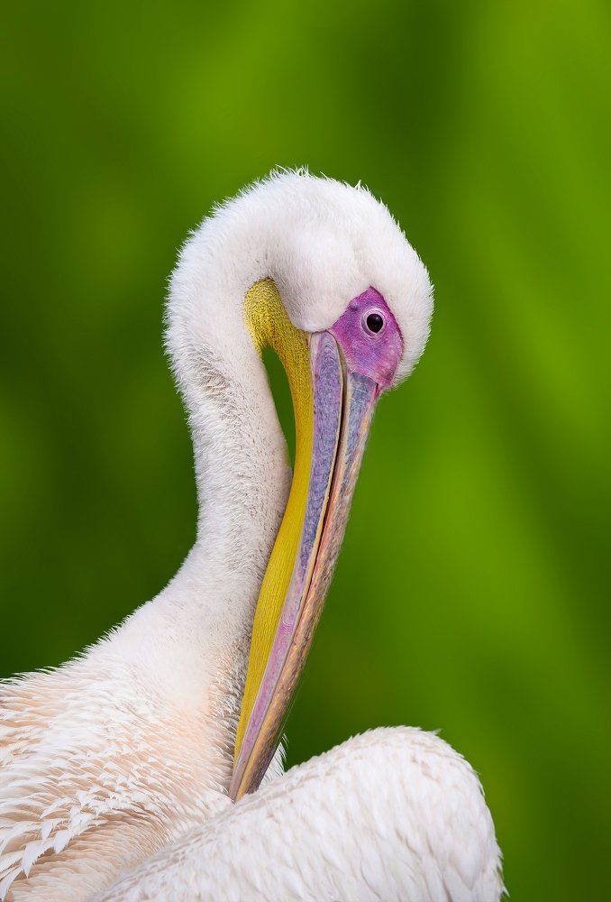 Photograph by tamem aws