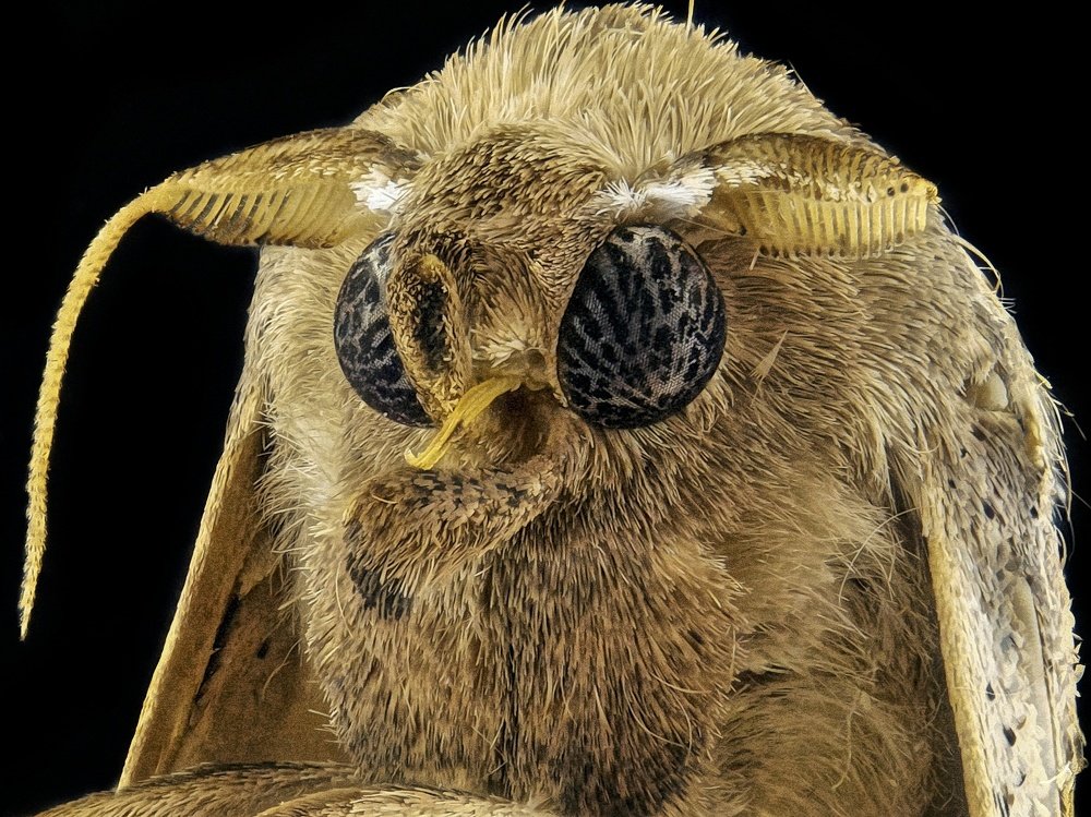 Photograph by  Duta Kharisma