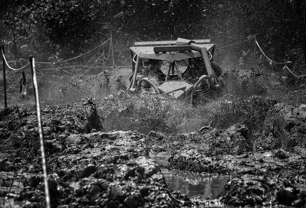 Black & White: Motion