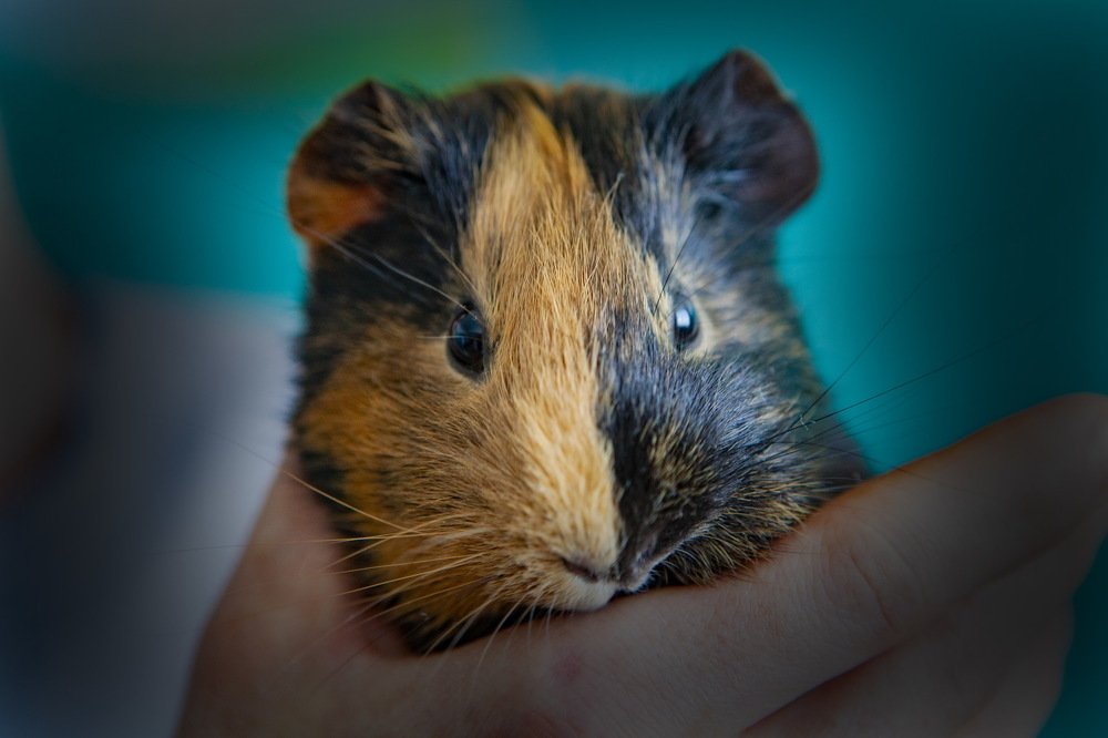 Photograph by петр чиков