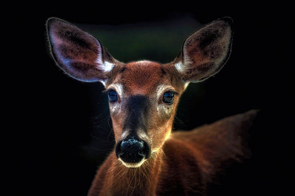 Photograph by Marc-Alain Ferragne