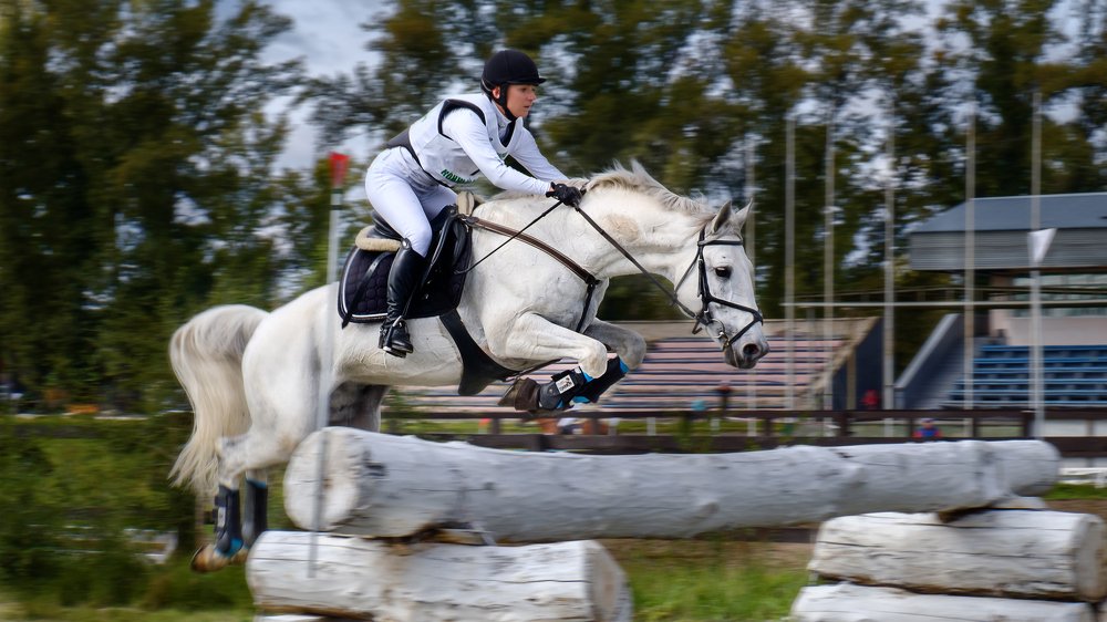 Фотография автора Evgeny Gerasimenko