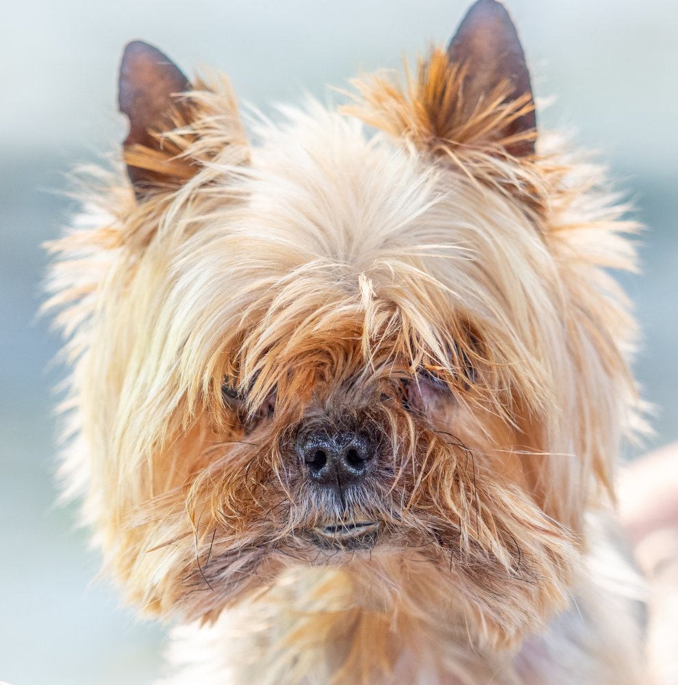 Photograph by Курлянцев Алексей