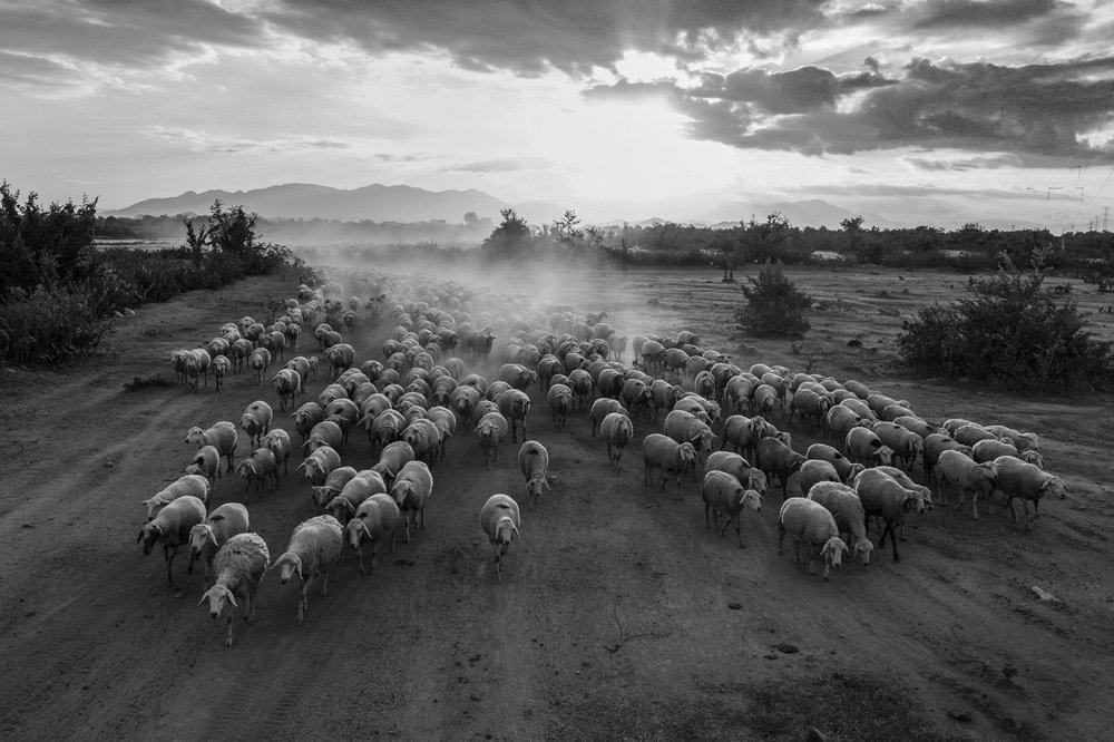 Фотография автора Tuan Guitare