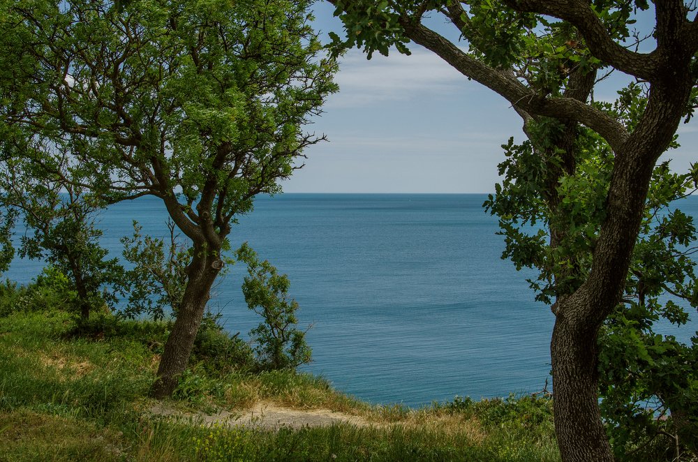 Photograph by Евгений Рослов