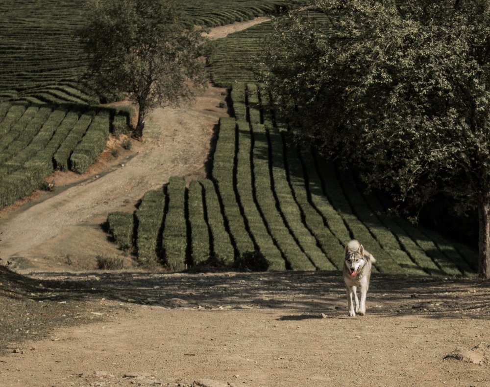 Фотография автора Дина Буланова