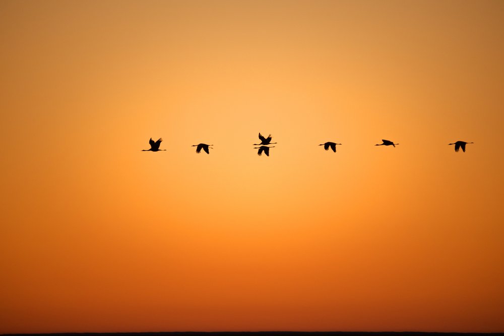 Photograph by Рустем Диков