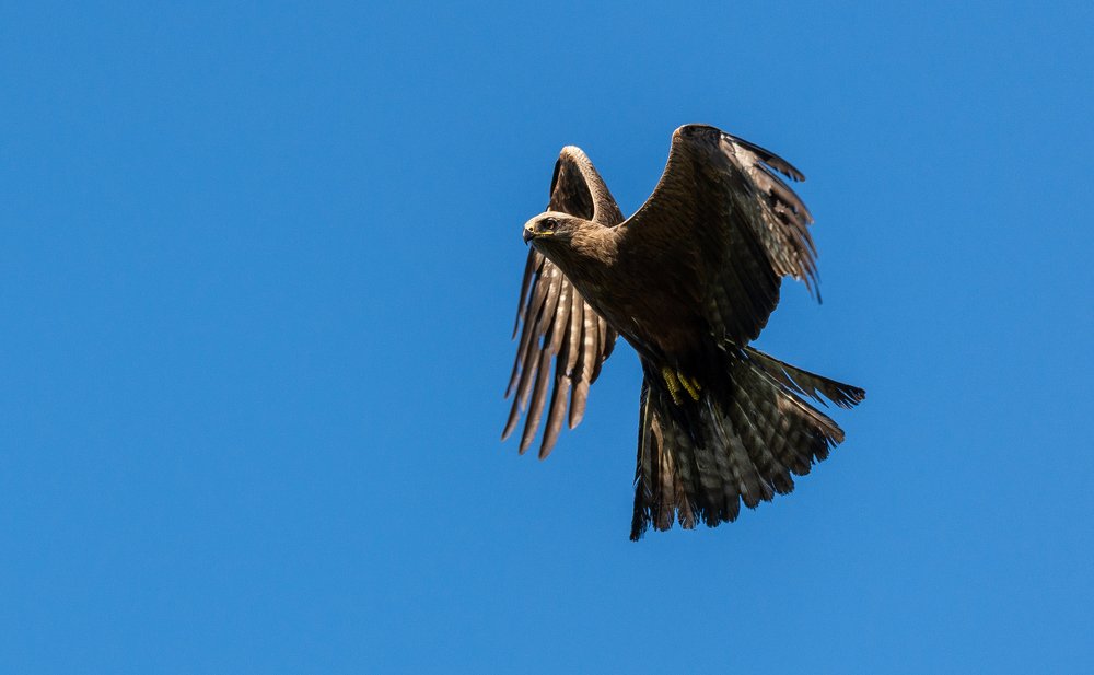 Photograph by Рустем Диков