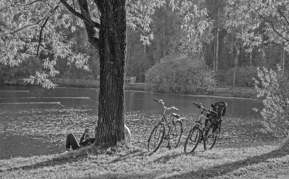 Тихая гавань (чб)