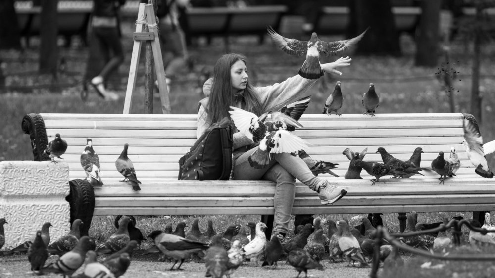 Photograph by Константин Ложеницын