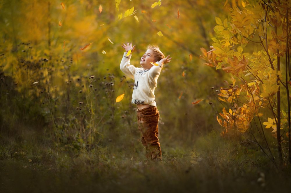 Фотография автора  Анастасия