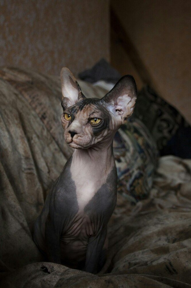 Photograph by Таня Короткова