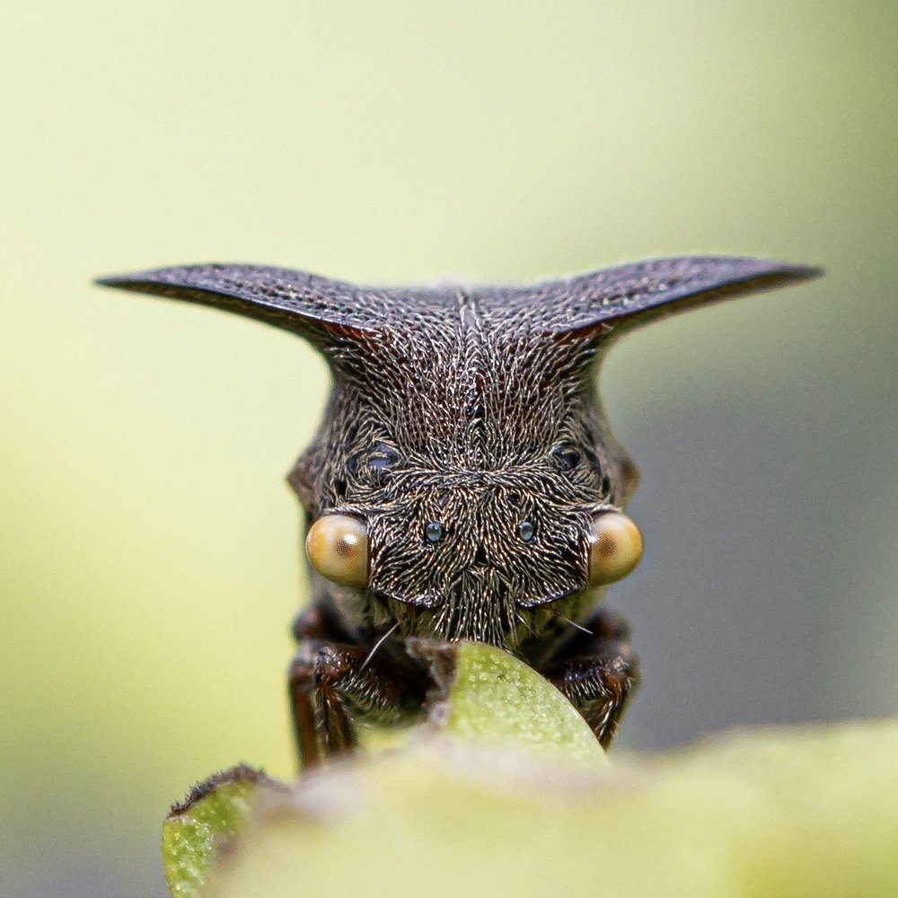 Photograph by VENKATESH