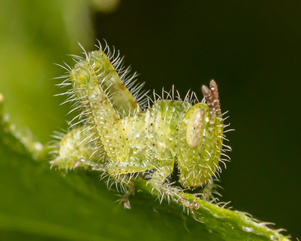 Photograph by VENKATESH