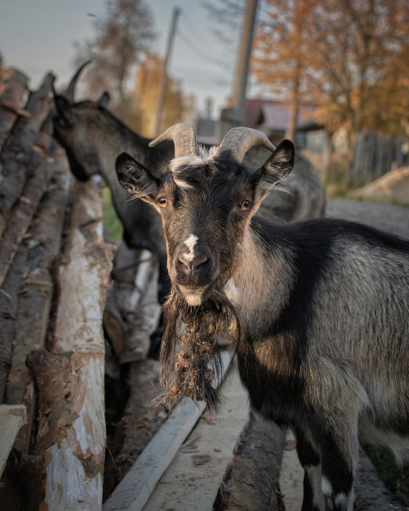 Photograph by Сергей Грицков
