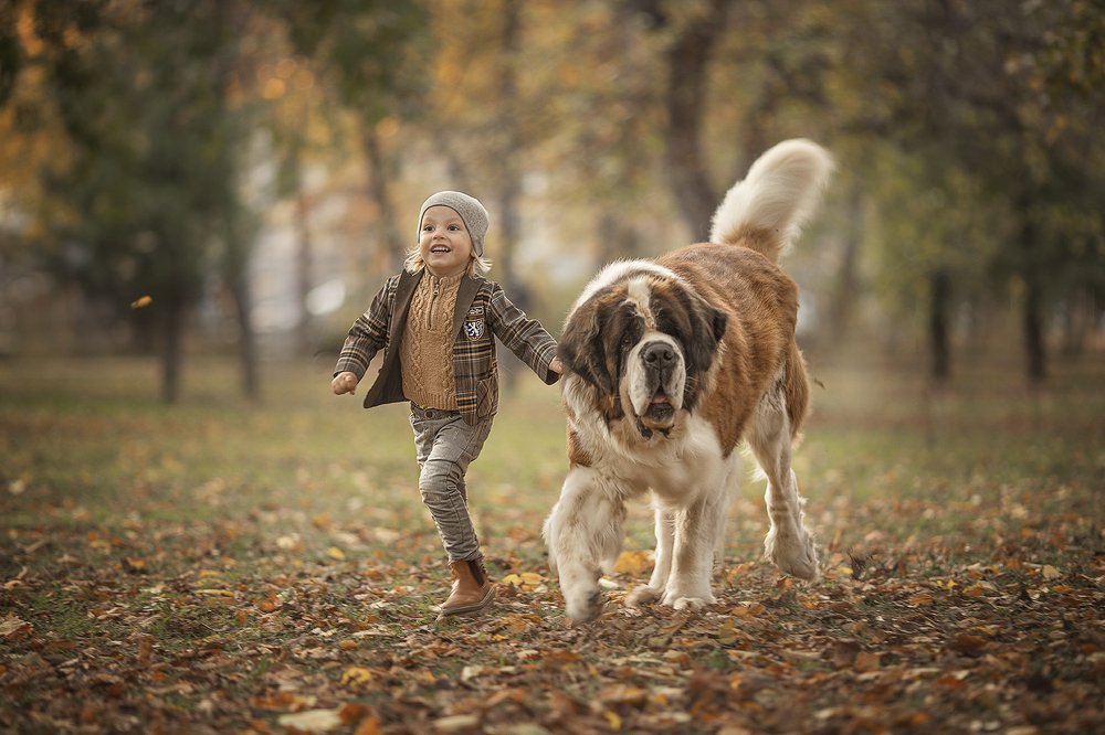 Photograph by Кристина и Оксана Митиревы