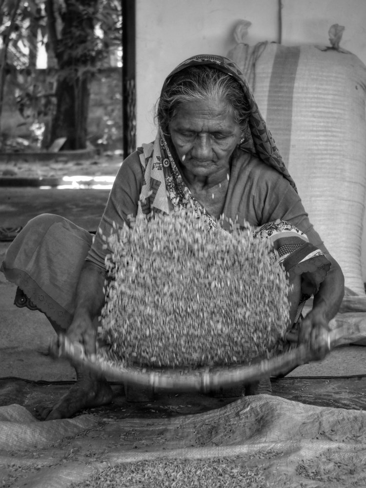 Photograph by Abdullah Nazeef