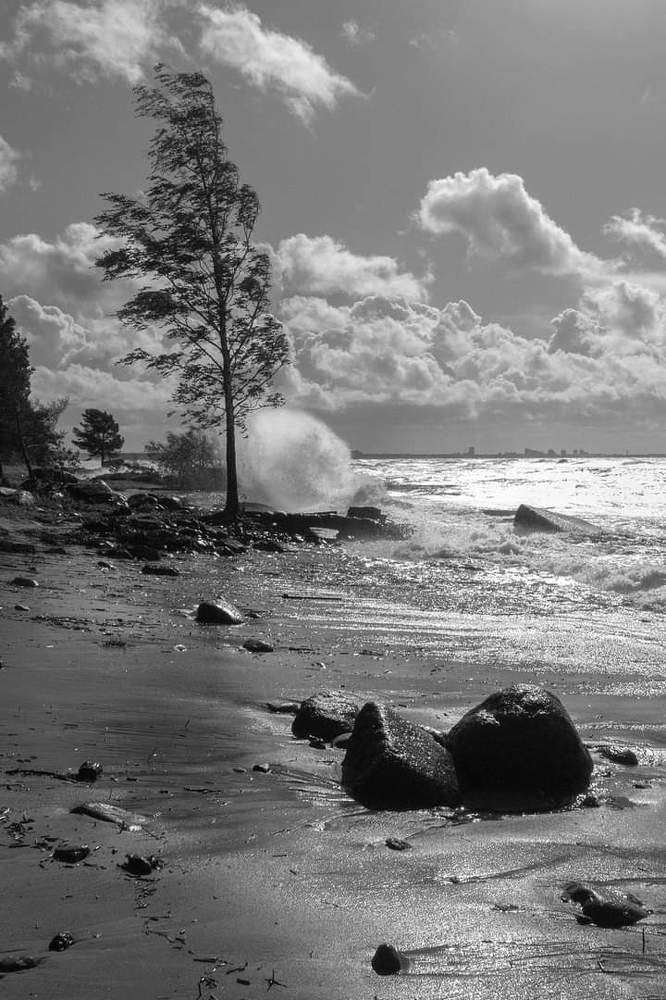 Photograph by Светлана Воробьёва