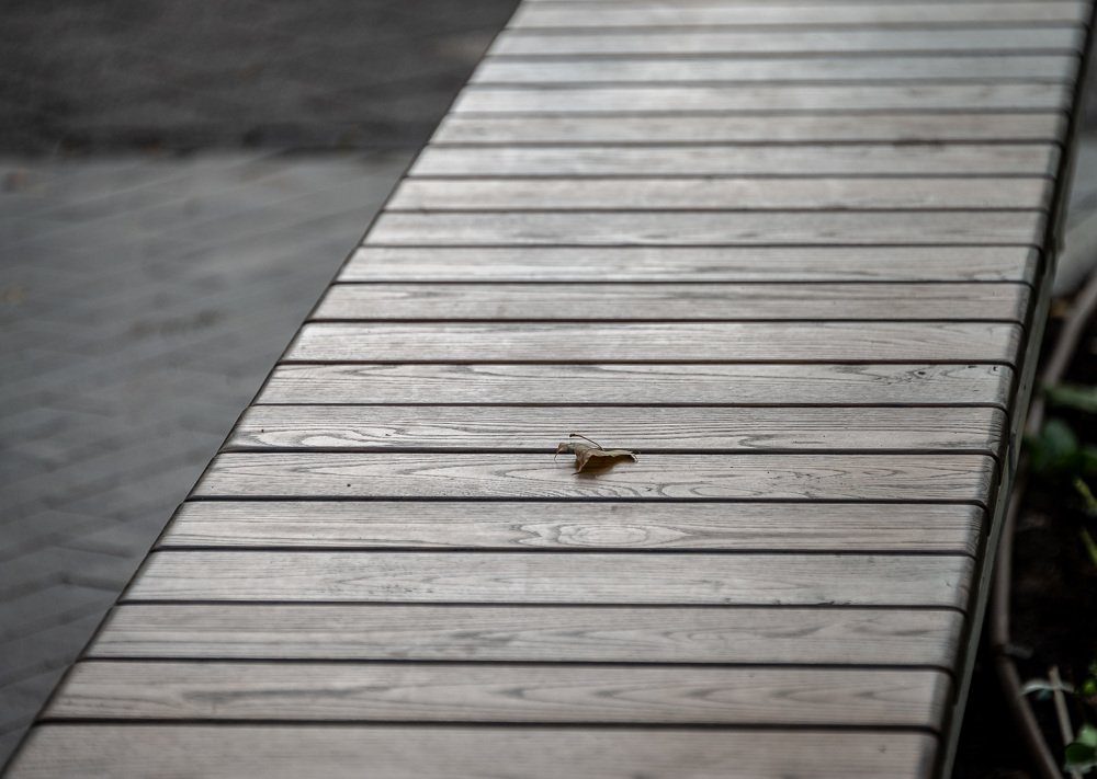 Photograph by Юрий Юрченко