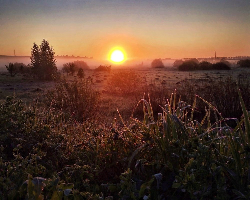 Туманный рассвет / Misty dawn