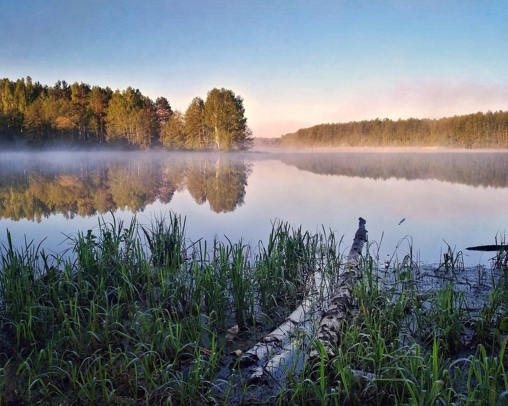Утро на реке / Morning on the river