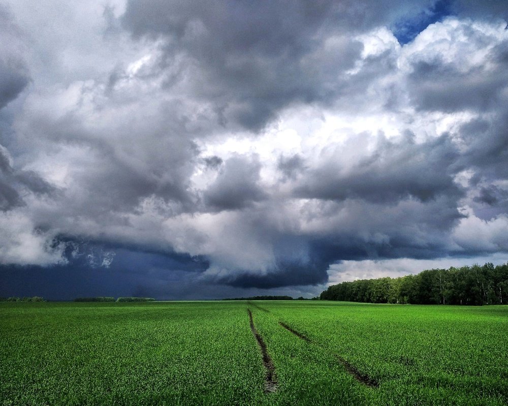 Перед грозой / Before the storm