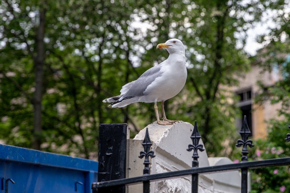 Photograph by Владислав Кучинский