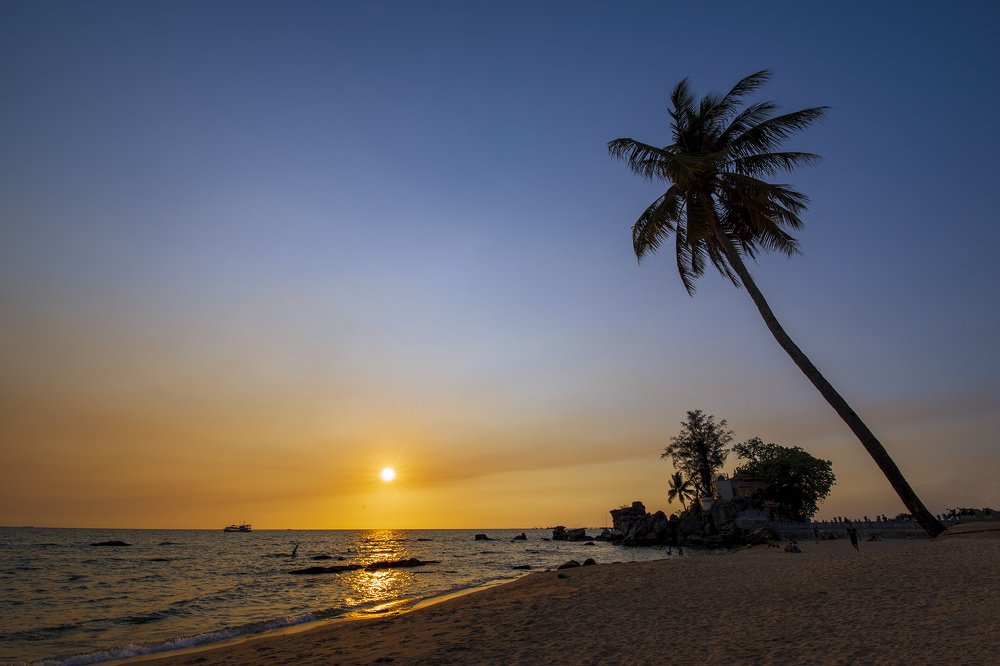 Фотография автора Tuan Guitare