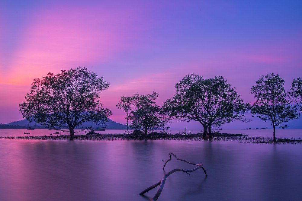 Фотография автора Tuan Guitare