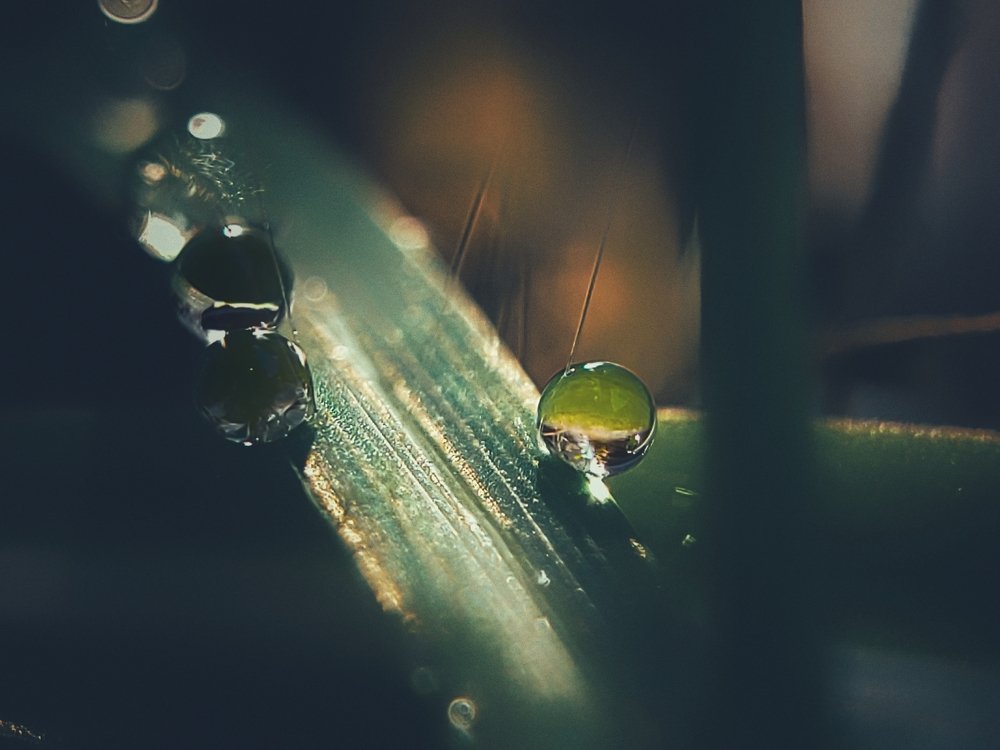 Photograph by Junryhle Adem