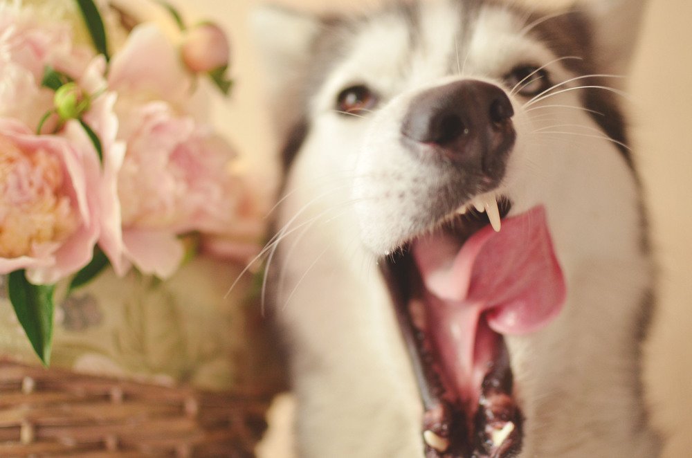 Фотография автора Виктория