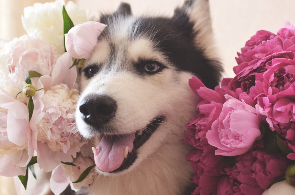 Фотография автора Виктория