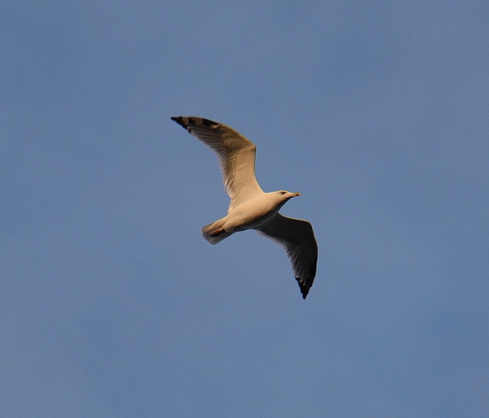 Photograph by Sergey Chebanenko