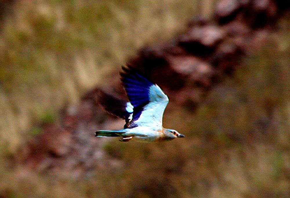 Photograph by Алтынбек Қартабай