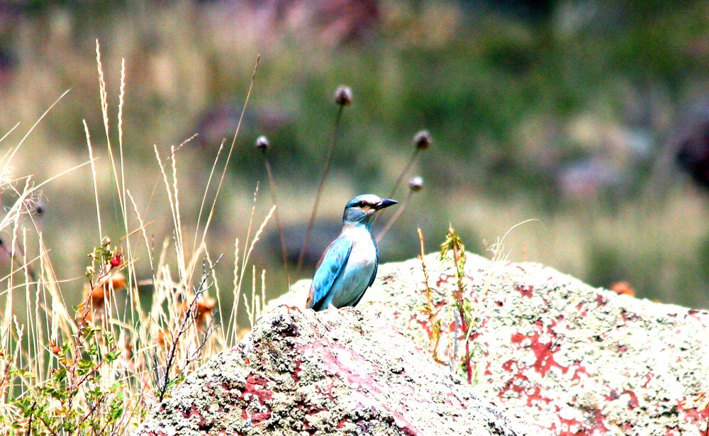 Photograph by Алтынбек Қартабай