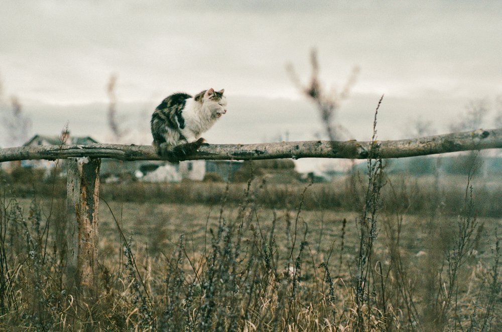 Photograph by Nadezhda Rav