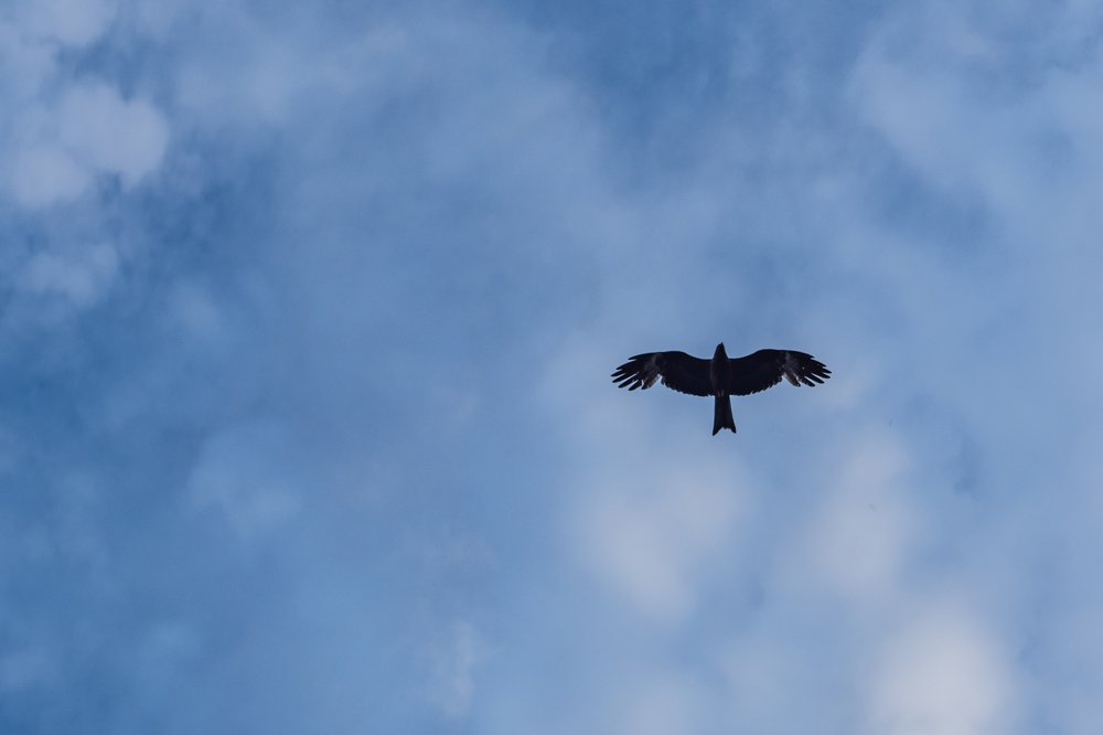 Фотография автора Алексей Школдин