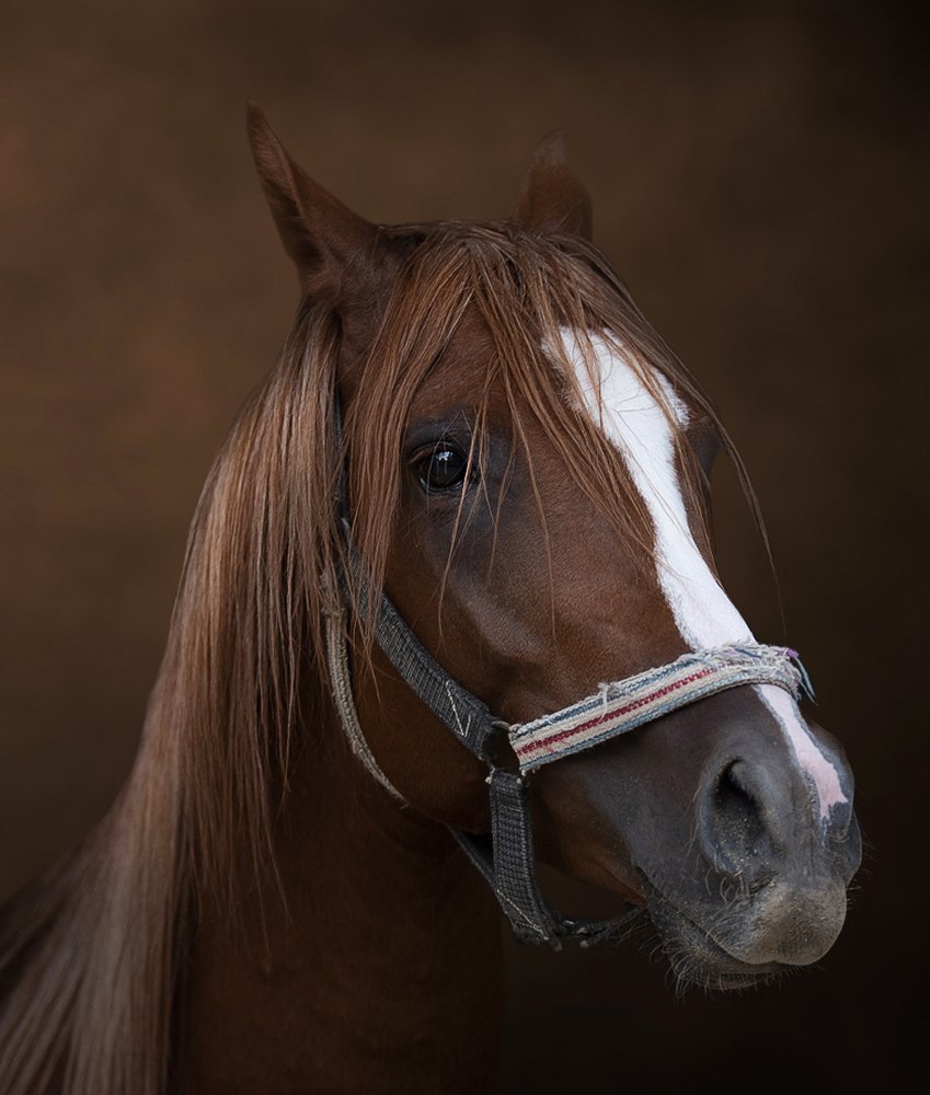 Photograph by tamem aws