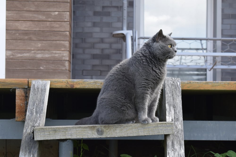 Photograph by Елизавета Чернышева