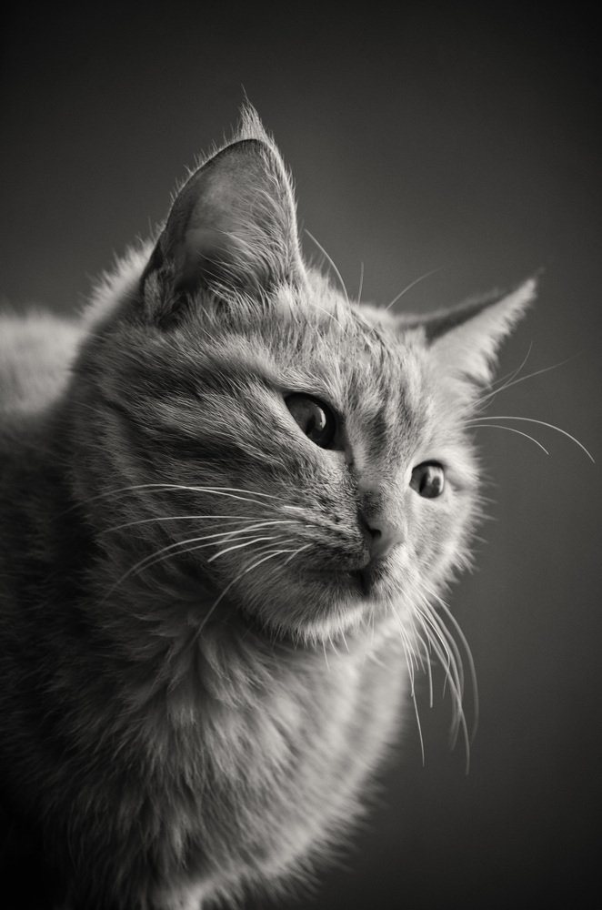 Photograph by tamem aws